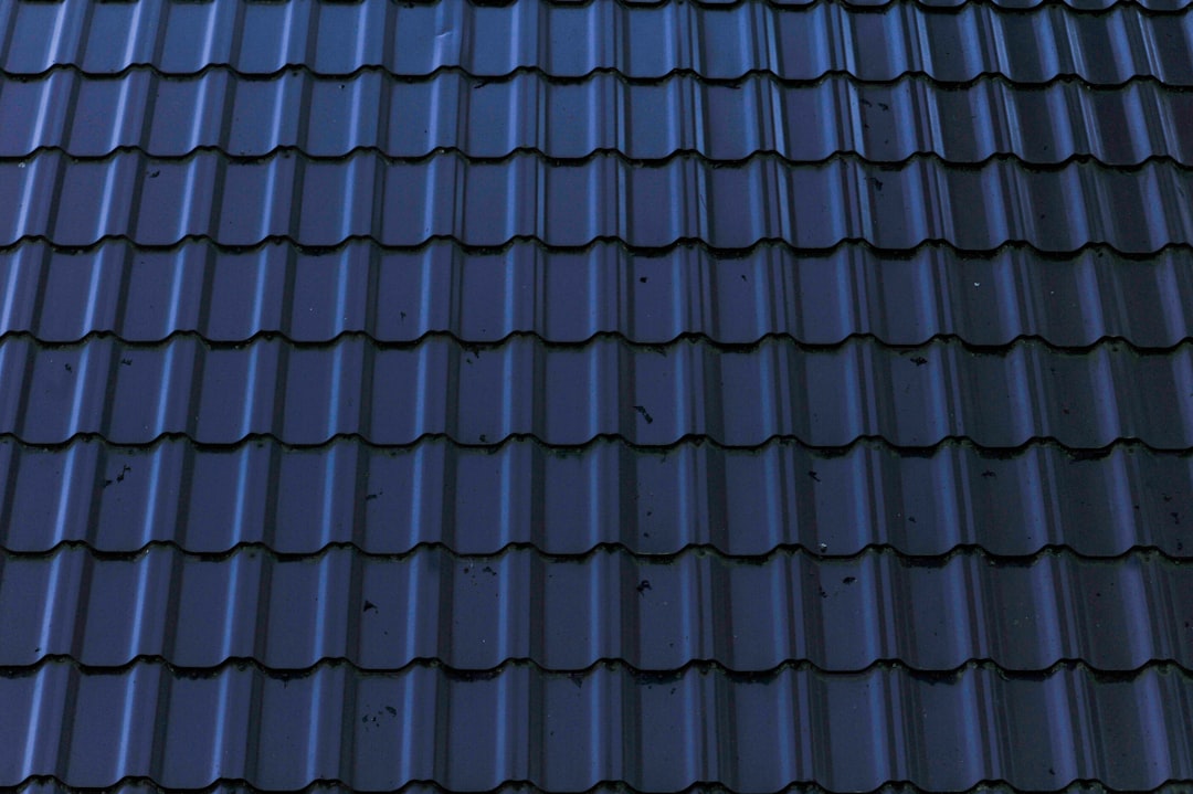 Old metal blue roof in nature.